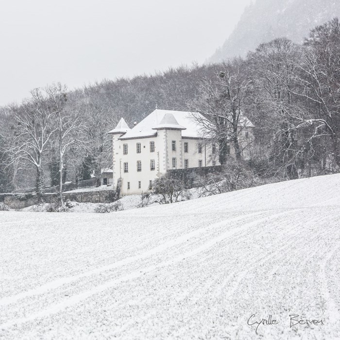 La magie de l'hiver pour votre événement de fin d'année proche de Genève